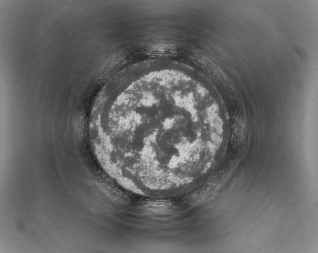 X0000111140659200907281113