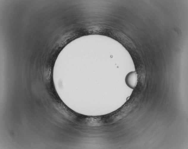 X0000111140660200907281113