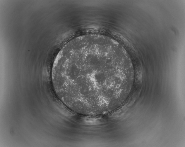 X0000111140661200907281113