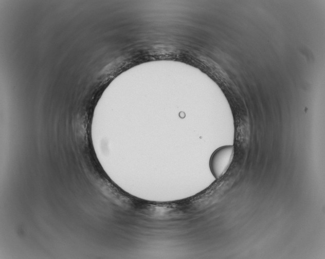 X0000111140662200907281113