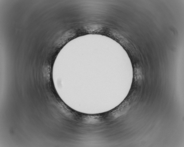 X0000111140664200907281113