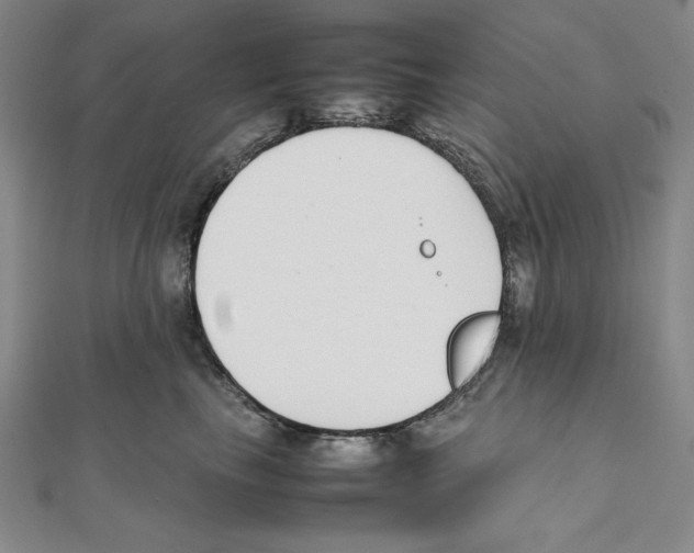 X0000111140665200907281113