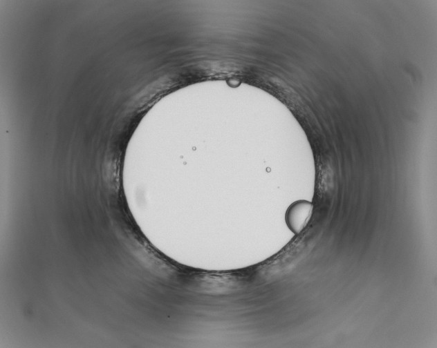 X0000111140666200907281113