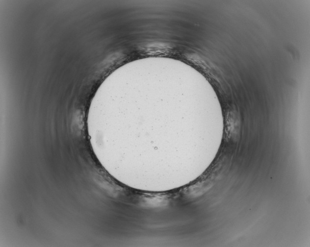 X0000111140667200907281113