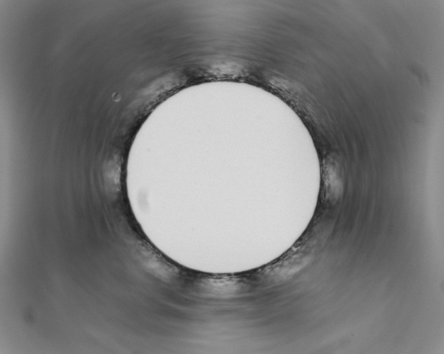 X0000111140668200907281113