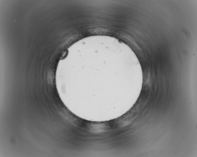 X0000111140669200907281113