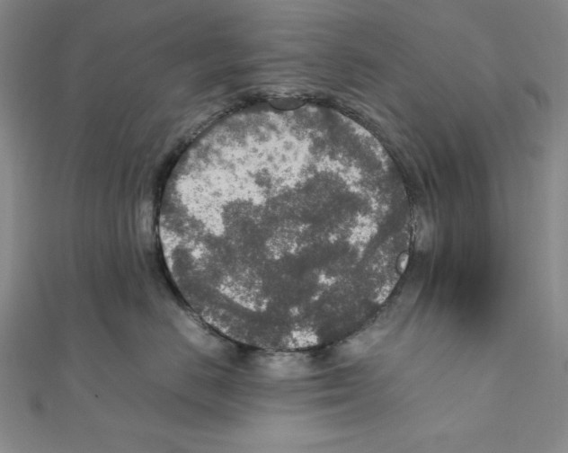 X0000111140670200907281113