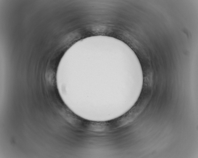 X0000111140671200907281113