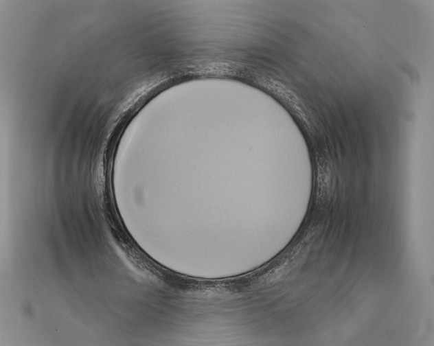 X0000111140674200907281113