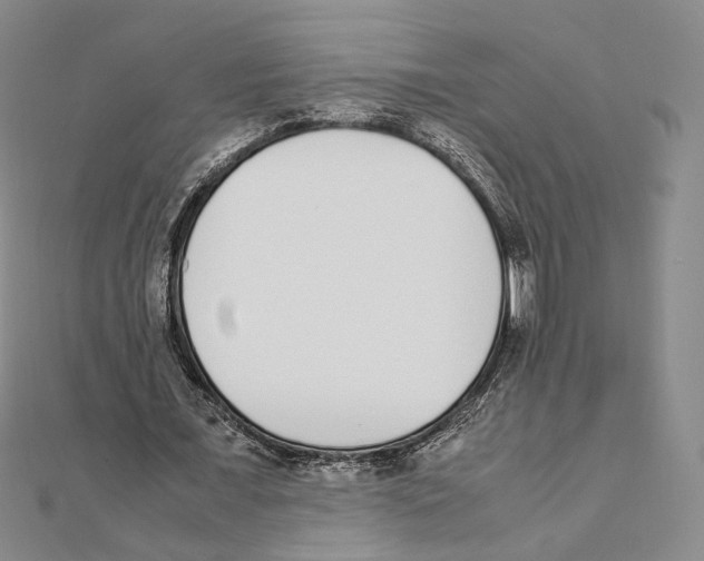 X0000111140675200907281113