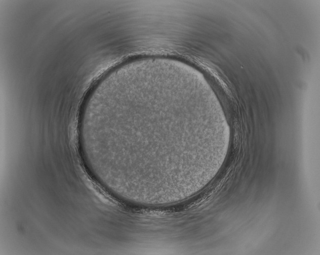 X0000111140677200907281112