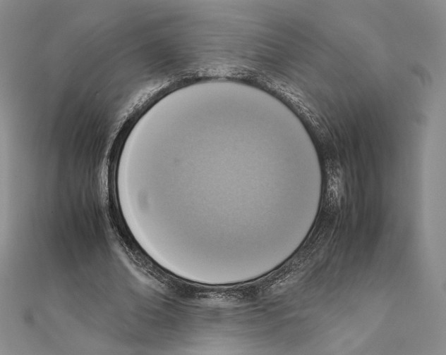 X0000111140678200907281112