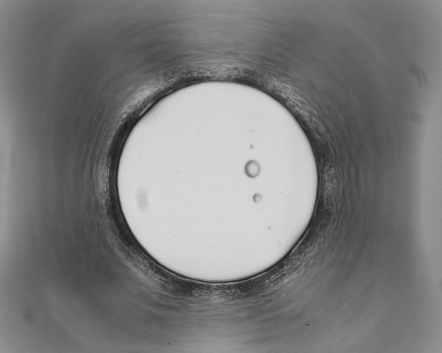 X0000111140679200907281112