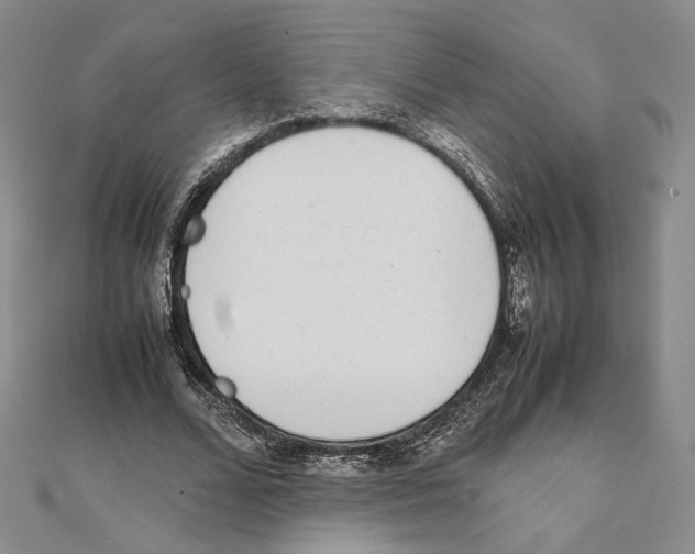 X0000111140680200907281112