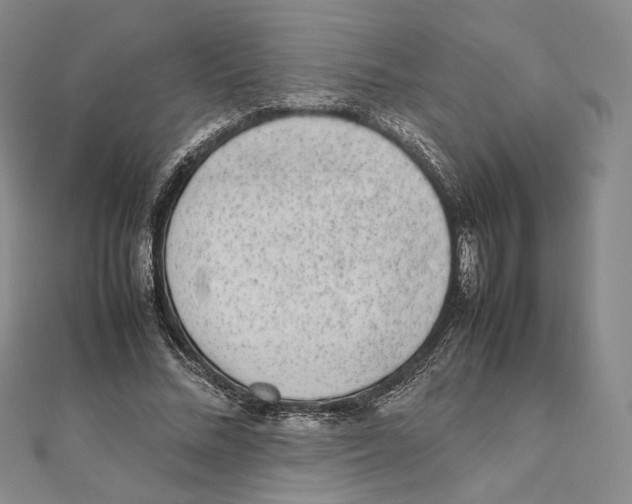 X0000111140684200907281112