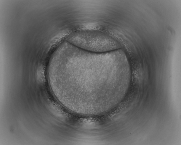 X0000111140688200907281112