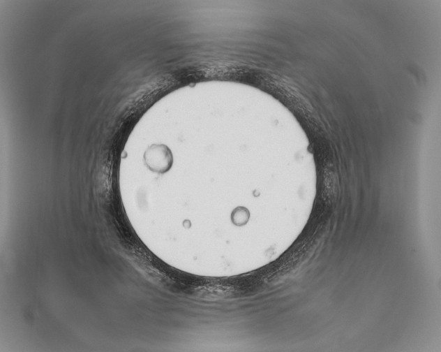 X0000111140691200907281112