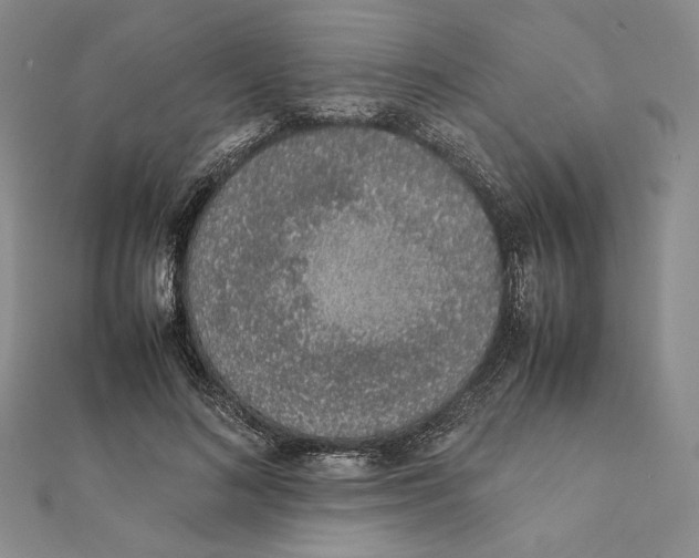 X0000111140692200907281112