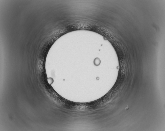 X0000111140695200907281112