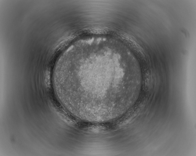 X0000111140696200907281112