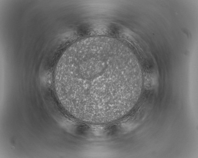 X0000111140701200907281112