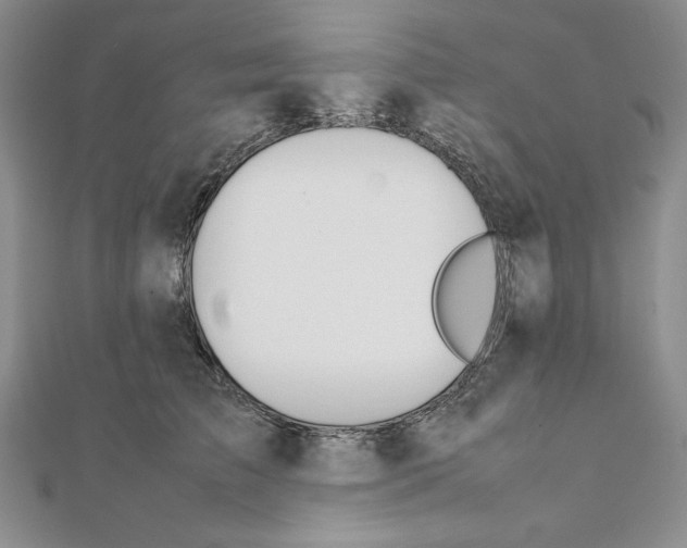 X0000111140709200907281112