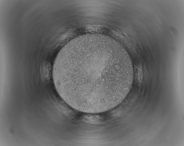 X0000111140712200907281112