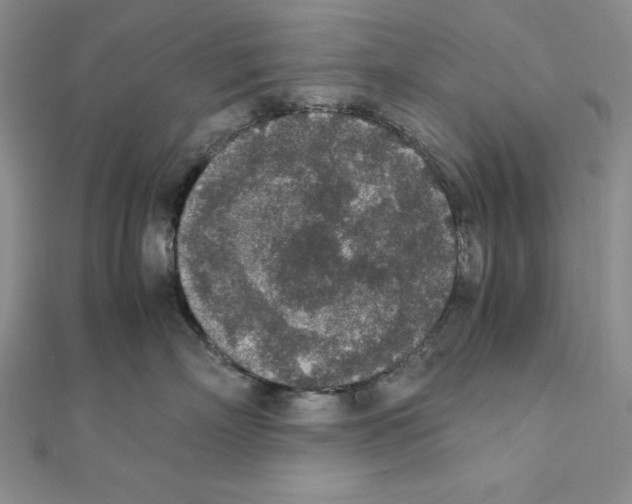 X0000111140718200907281112