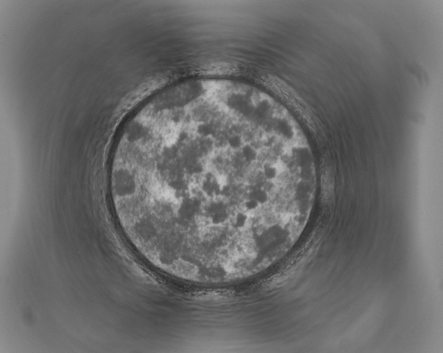 X0000111140721200907281111