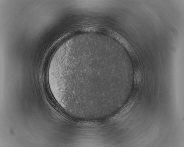 X0000111140722200907281111