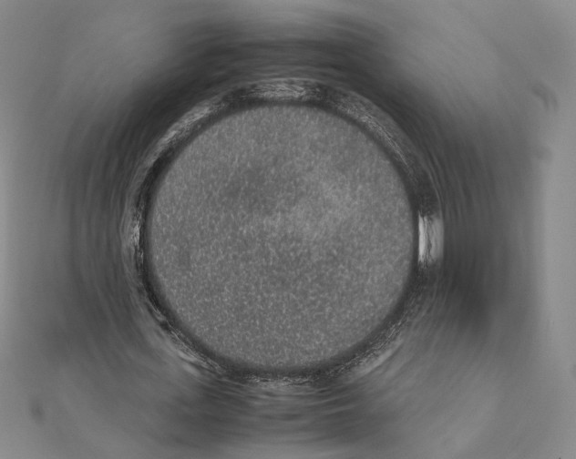 X0000111140723200907281111