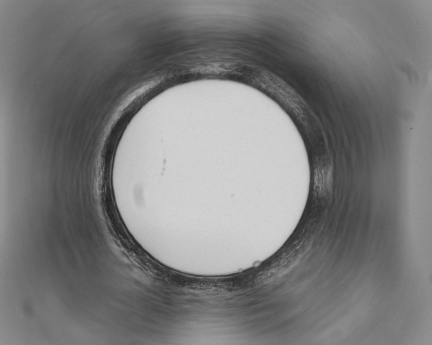 X0000111140724200907281111