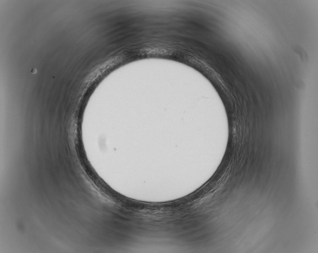 X0000111140725200907281111