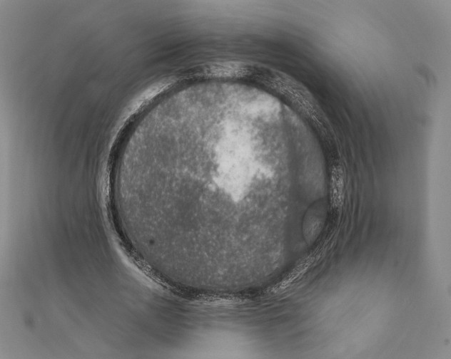 X0000111140726200907281111