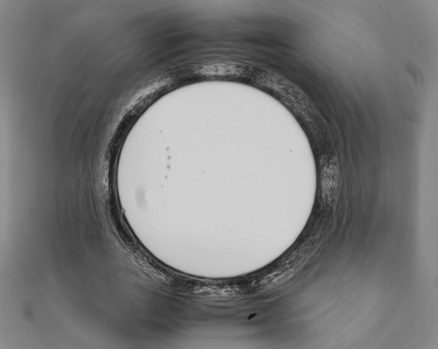 X0000111140727200907281111