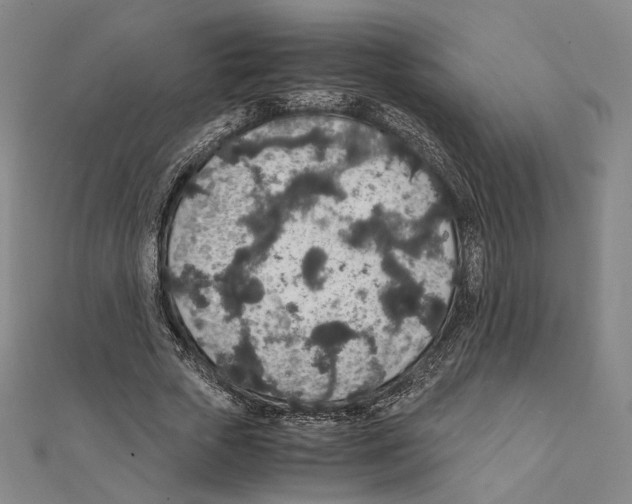 X0000111140729200907281111