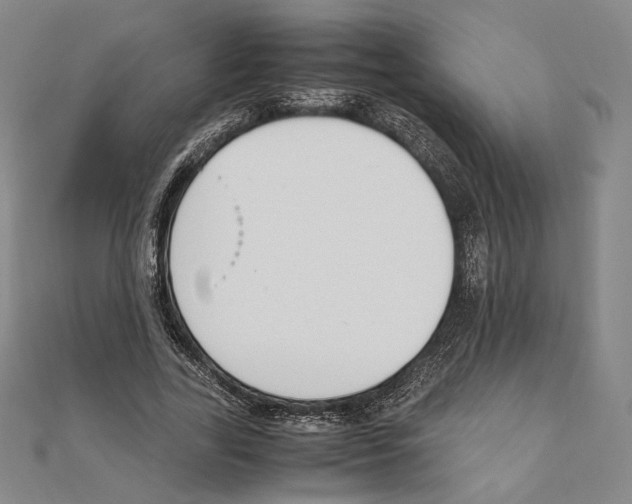 X0000111140731200907281111