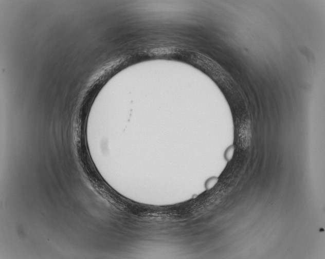 X0000111140732200907281111