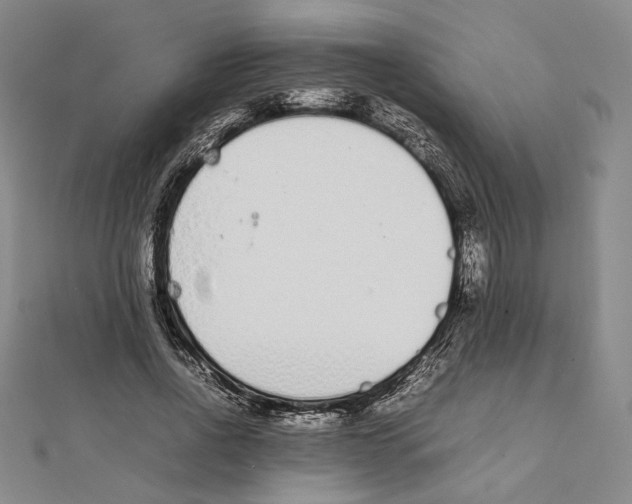 X0000111140734200907281111