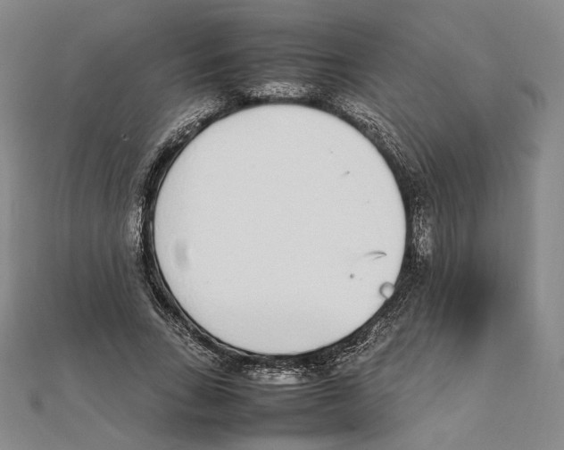 X0000111140735200907281111