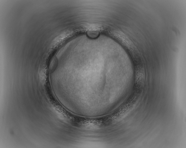 X0000111140736200907281112