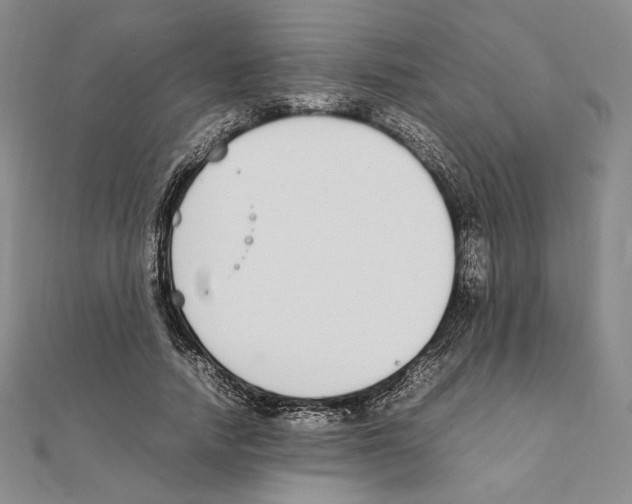 X0000111140738200907281112