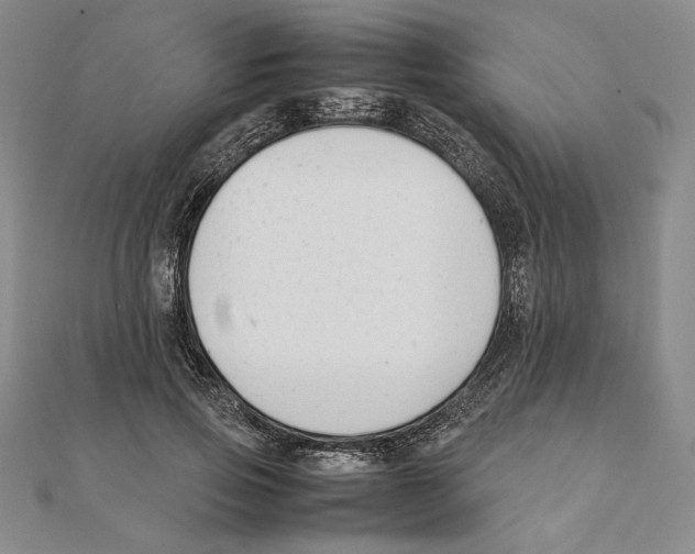 X0000111140741200907281112