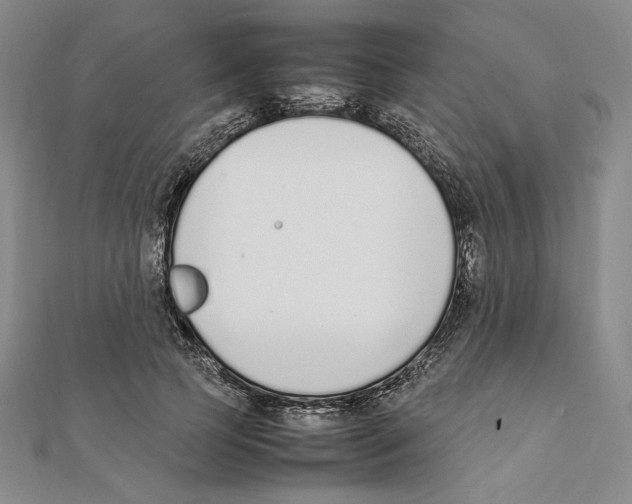 X0000111140745200907281112