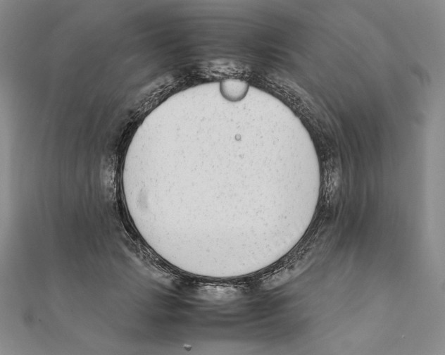 X0000111140749200907281112