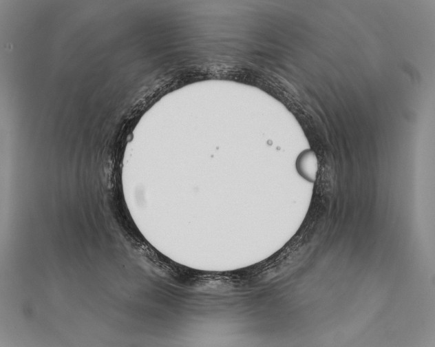 X0000111140750200907281112