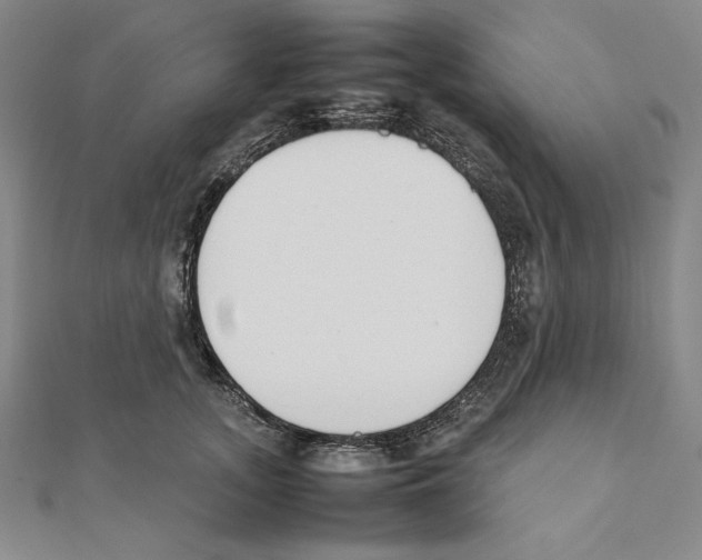 X0000111140755200907281112