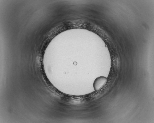 X0000111140757200907281112