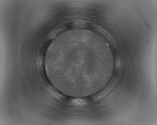 X0000111140759200907281112