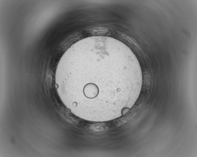 X0000111140761200907281112